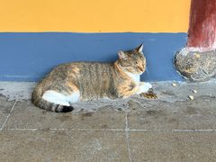 -龙华素斋(龙华路店)