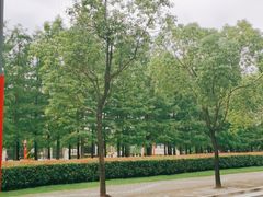 -复旦大学附属眼耳鼻喉科医院(浦江院区)