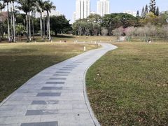 -荔香公园