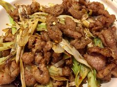品锅羊肉-大铁勺新津菜(东丽阳光新业广场店)