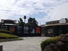 -济州岛泰迪熊博物馆