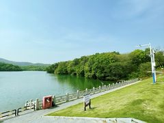 -佛手湖郊野公园