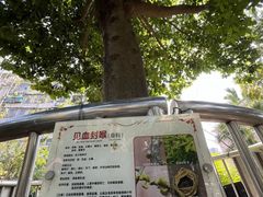 -广州神农草堂中医药博物馆