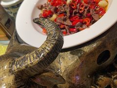 -老湖南民间菜·牛肉十八炒(花都店)