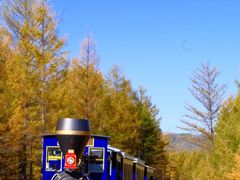 -莫尔道嘎国家森林公园