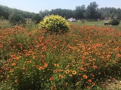 -天津武清北运河郊野公园房车露营地