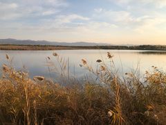 -野鸭湖国家湿地公园