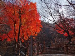 -崂山九水游览区