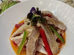 椒麻鸡-必点海鲜·鲅鱼水饺(鞍山西道店)