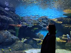 -华夏文旅海洋公园