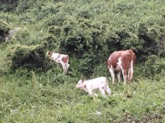 -灵山