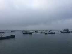 -枸杞岛