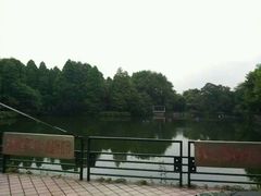 -奥冠体育恒温游泳馆(市少年宫店)