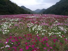 -广州市石门国家森林公园