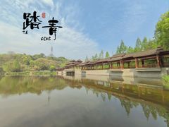 -重庆彩云湖湿地公园