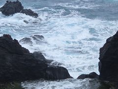 -涉地可支
