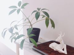 -CAFE'IN精品咖啡体验空间(小寨店)