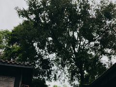 -大妙火锅·非物质文化遗产(东湖公园店)