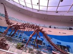 -陕西自然博物馆