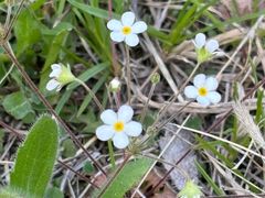 -九鼎铁刹山风景区