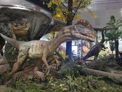 -湖南省地质博物馆