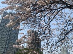 -成都市活水公园