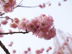 -杭州植物园