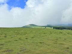 -芦芽山旅游度假区