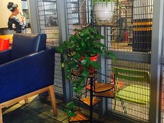 -米兰西点(辽阳店)