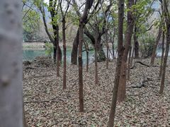 -贵阳市花溪国家城市湿地公园