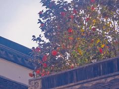 -枫桥夜泊