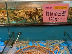 -尖沙咀酒店(大沥店)
