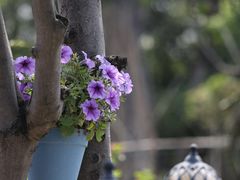 -天然居(伦教店)