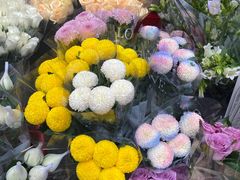 -循礼门鲜花花市(武汉循礼门店)