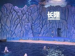 -珠海长隆海洋王国