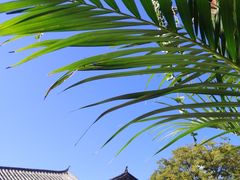 -内涵饵块