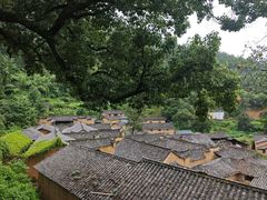 -杨家堂村