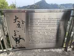 -大金鹰园