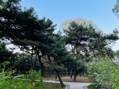 -北陵公园