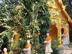 -西双版纳勐泐文化旅游区