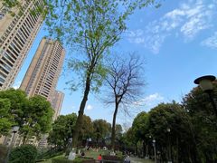 -重庆市江北嘴中央商务区中央公园