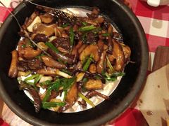 橄榄油炒三种蘑菇-西贝(紫荆广场店)
