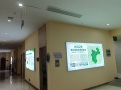 -爱尚大众口腔(团结店)