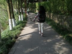 -重庆彩云湖湿地公园
