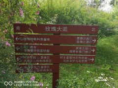 -鹅湖玫瑰文化园