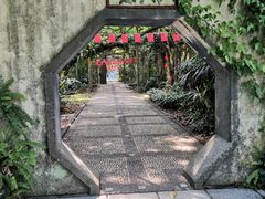 -广西壮族自治区药用植物园