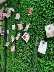 -母仪天下月子中心(光谷店)