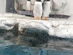 -南昌海洋公园