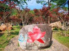-广州市帽峰山景区