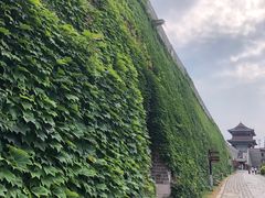 -青州古城